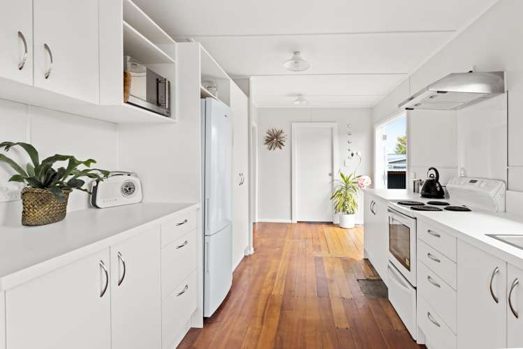 207 Guppy Road Taradale_5