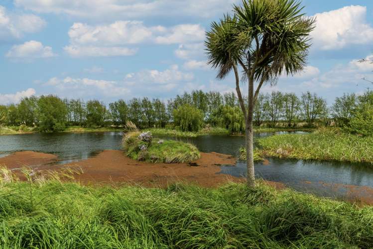 293 Beamish Road Bulls_19