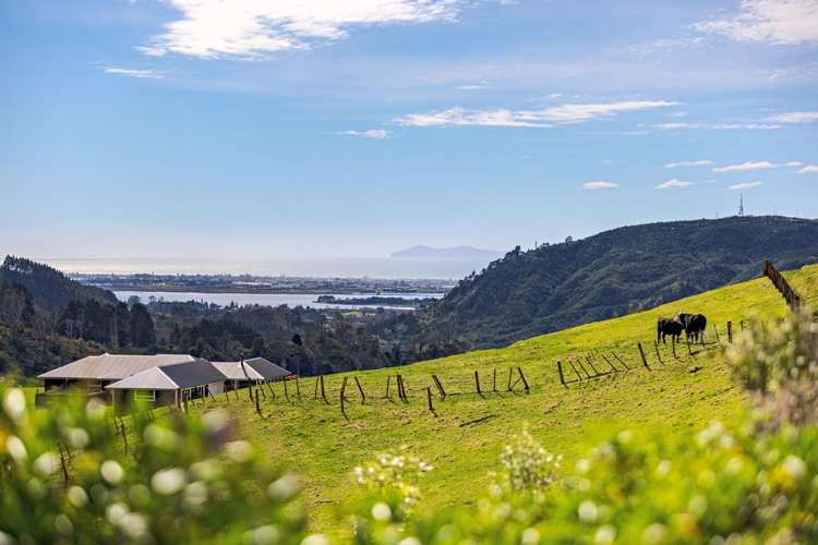 566D Waitao Road Welcome Bay_28