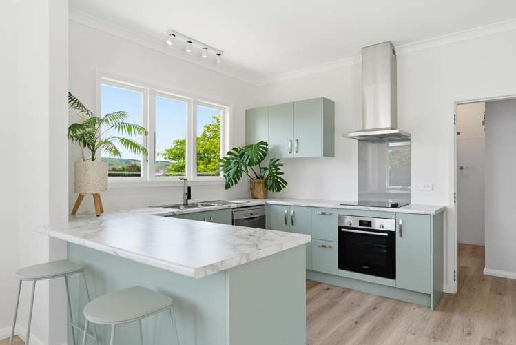 103A Mulgrave Street Ashhurst_2