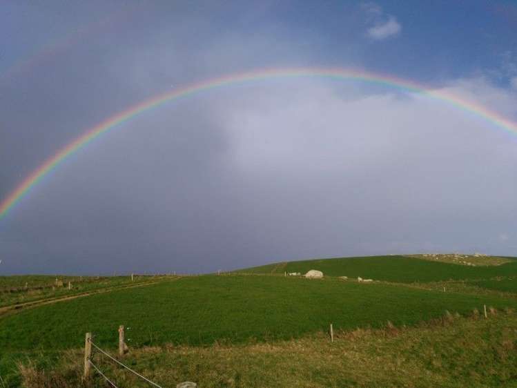 100 Kawakapatu Road Ruahine_9