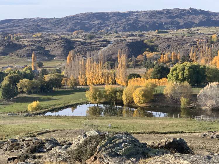 196 Chapman Road Alexandra_14