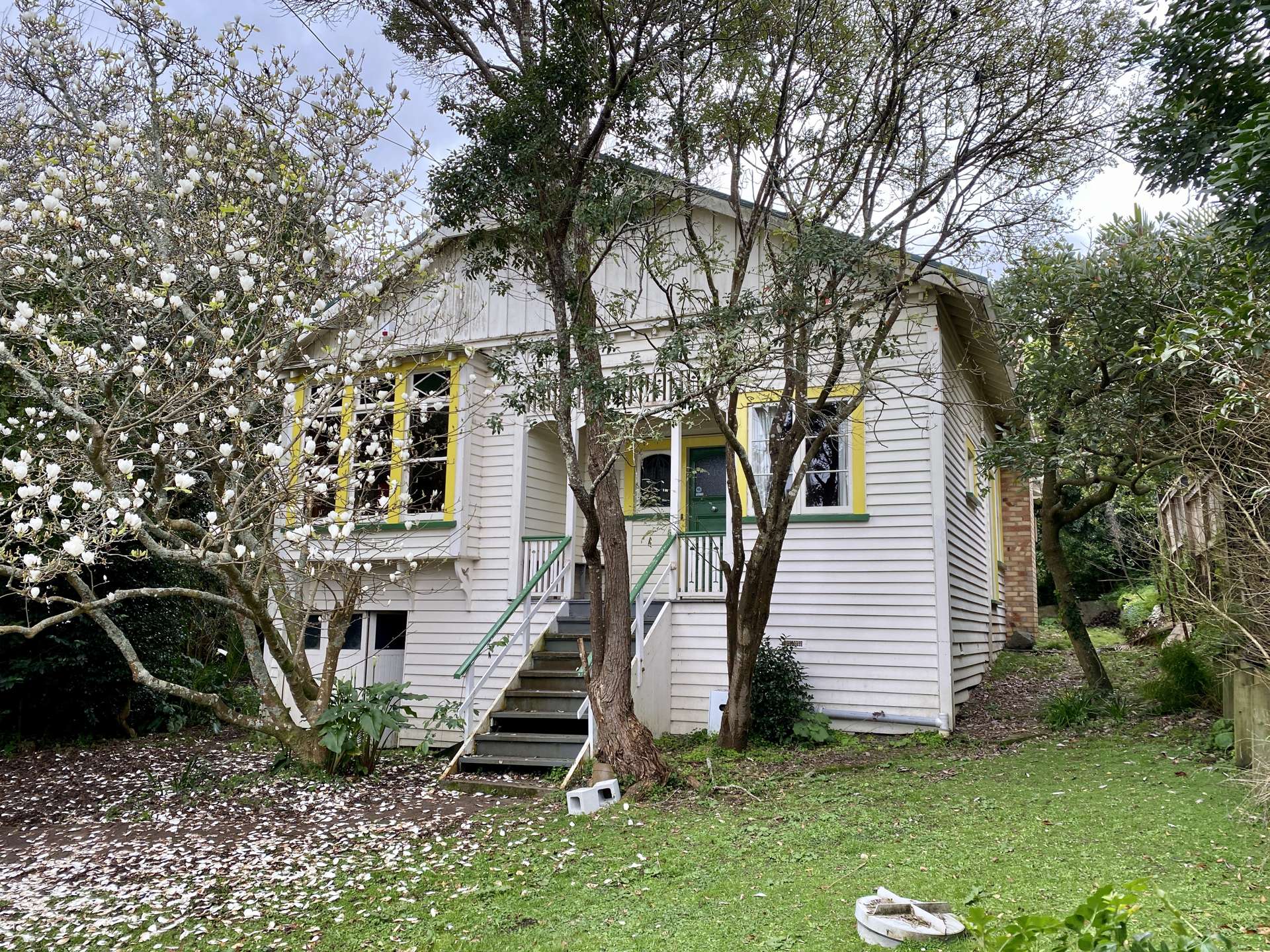 48 Dexter Avenue Mount Eden_0