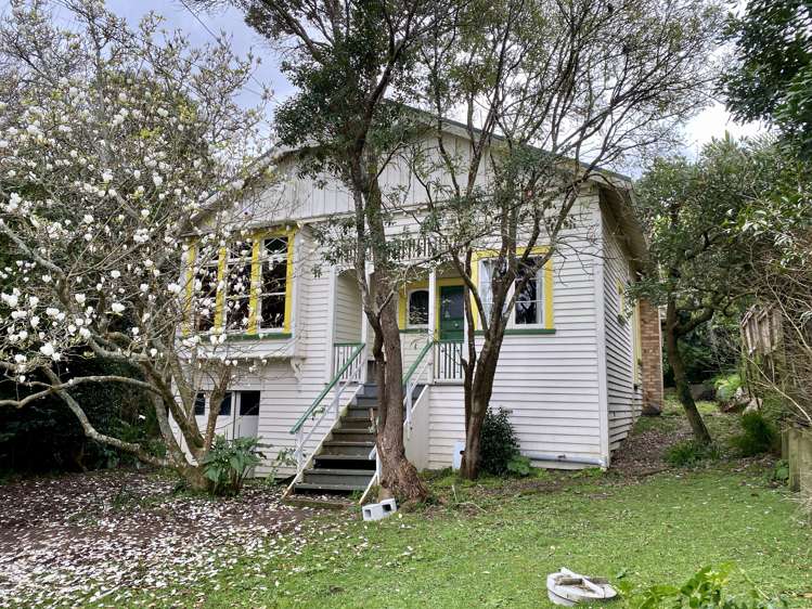 48 Dexter Avenue Mount Eden_0