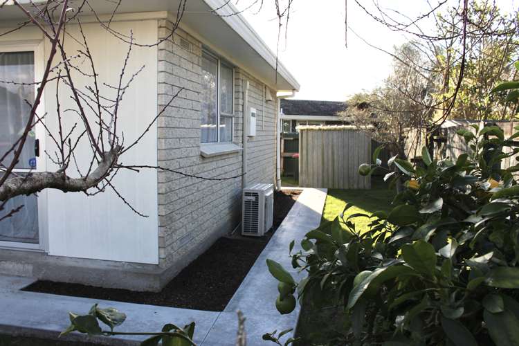 14a Blomfield Street Nawton_9