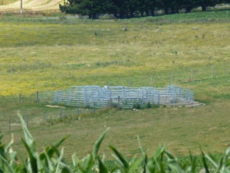 614 Levels Valley Road Levels Valley_3