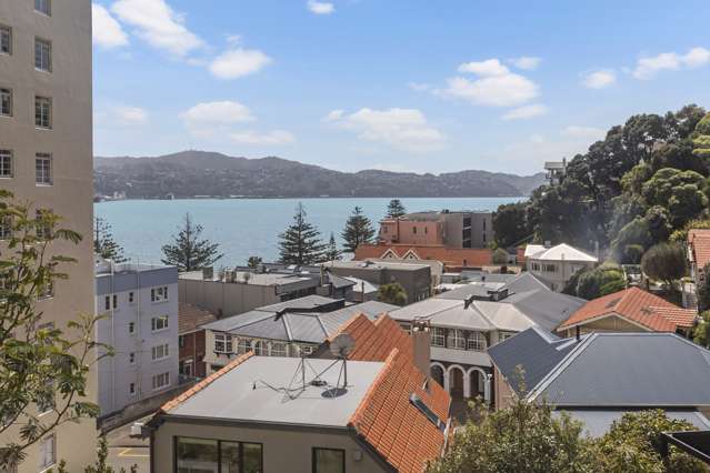 8 Wilkinson Street Oriental Bay_2