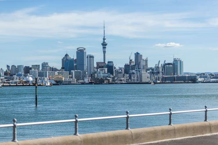 62 Calliope Road Stanley Point_13