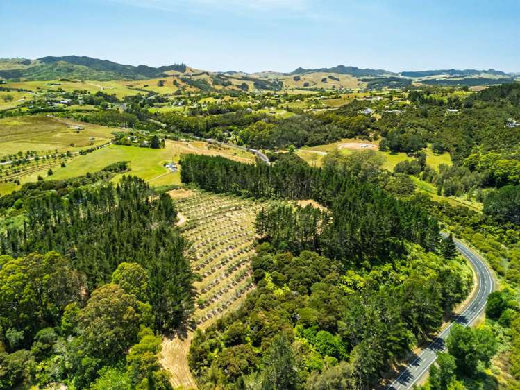 2884A State Highway 10 Mangonui_23