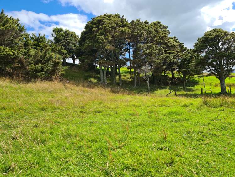 304 Arapaoa Road Tinopai_11