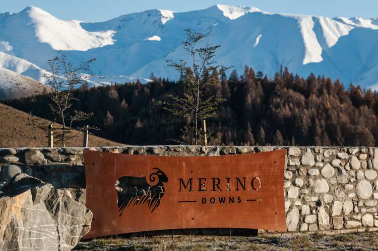 Merino Downs_0