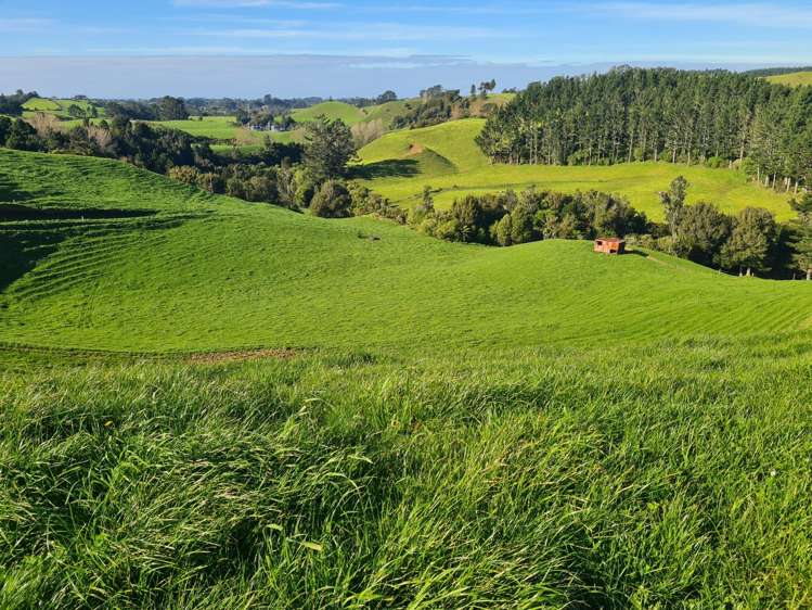 801 Mangorei Road Mangorei_14