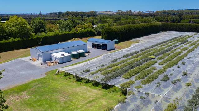 242A Omaha Flats Road Omaha_3