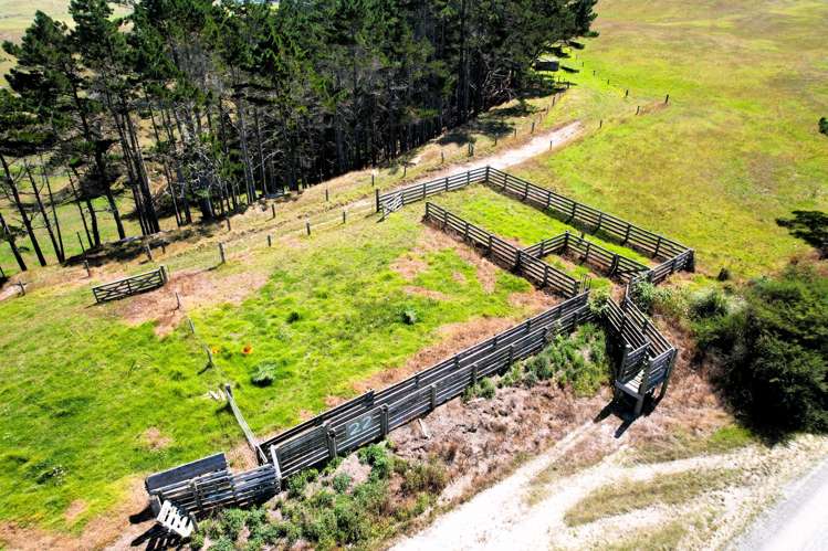 Mount Wesley Coast Road Dargaville_20