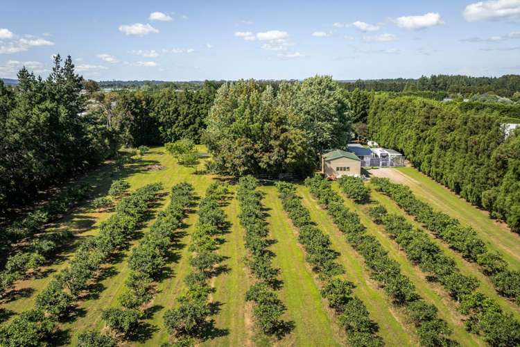 6 Sedgemoor Lane, RD 2 Katikati_21