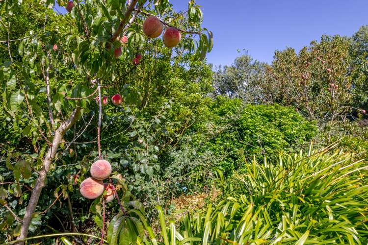 105 Lindsay Road Waipukurau_27