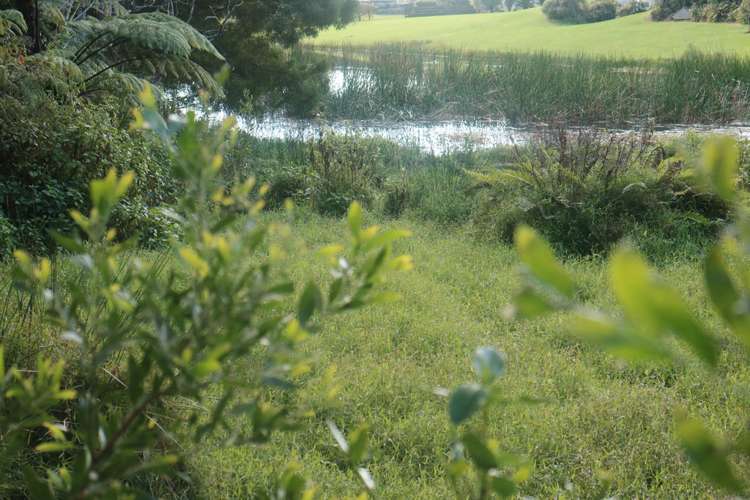 49a Stanners Road Kerikeri_10