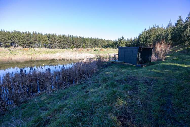 725 Raumai Road Bulls_11