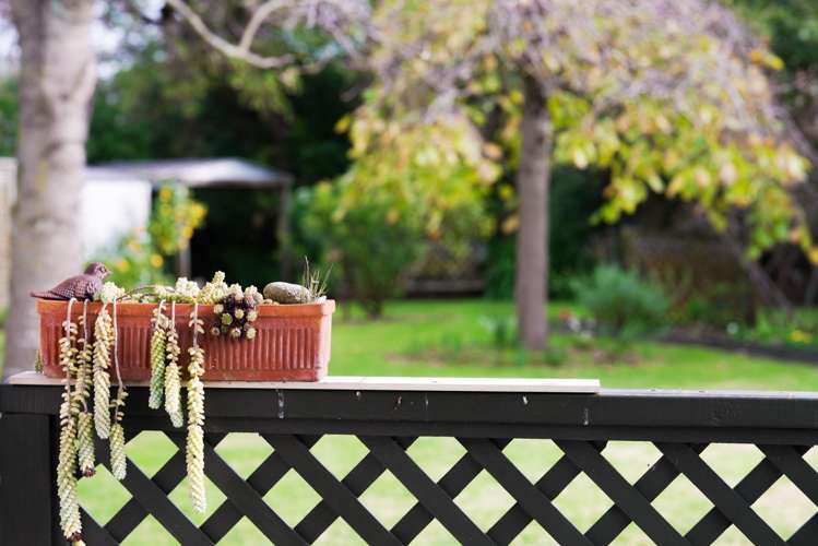 29 Cranbrook Grove Waikanae_20