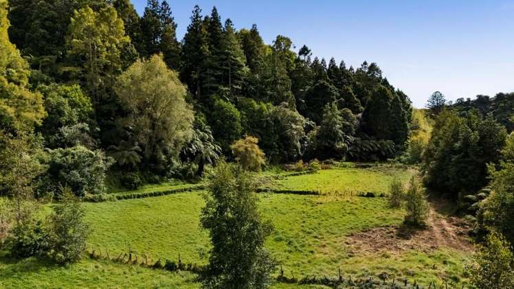 525F Mangorei Rd, Highlands Park New Plymouth_8