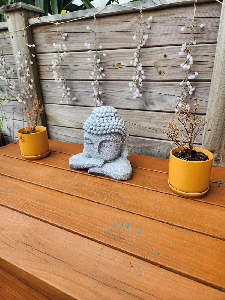 134 Hobsonville Road Hobsonville_7