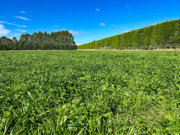 170 Norman Road Winton Surrounds_7