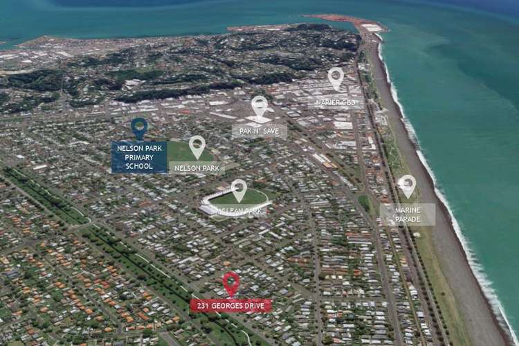 231 Georges Drive Napier South_24