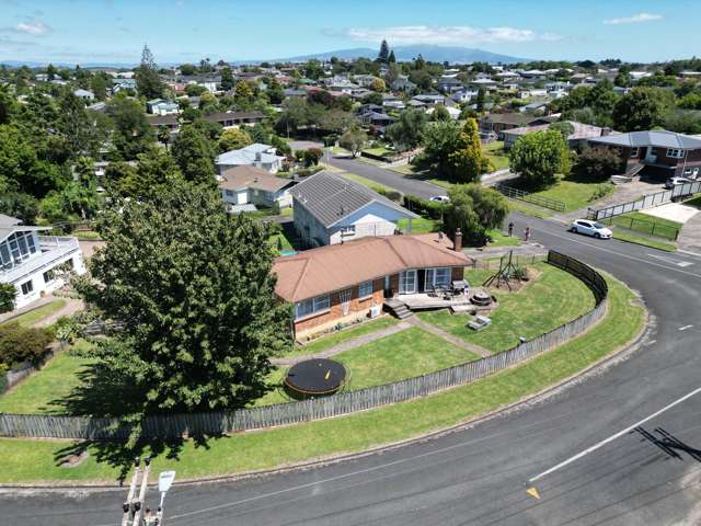 2 Lorne Street Te Awamutu_1