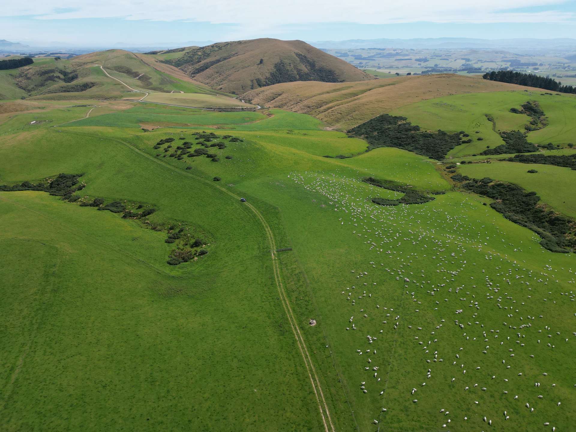 124 Strathearn Road Wairuna_0