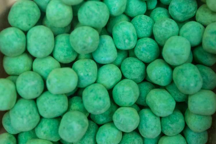 8 Kitchener Street Martinborough_21