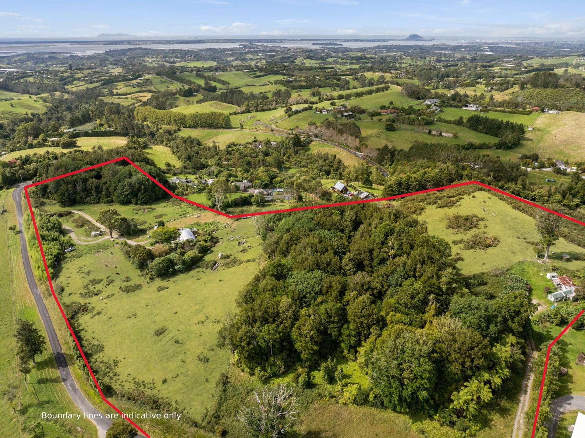 235 Tim Road Whakamarama_0