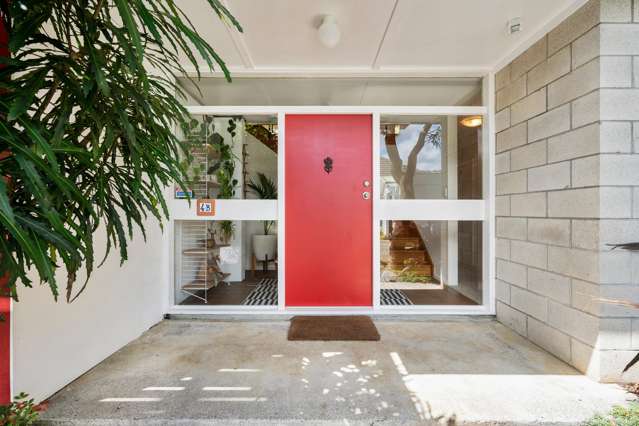 4B Fox Street Ngaio_1