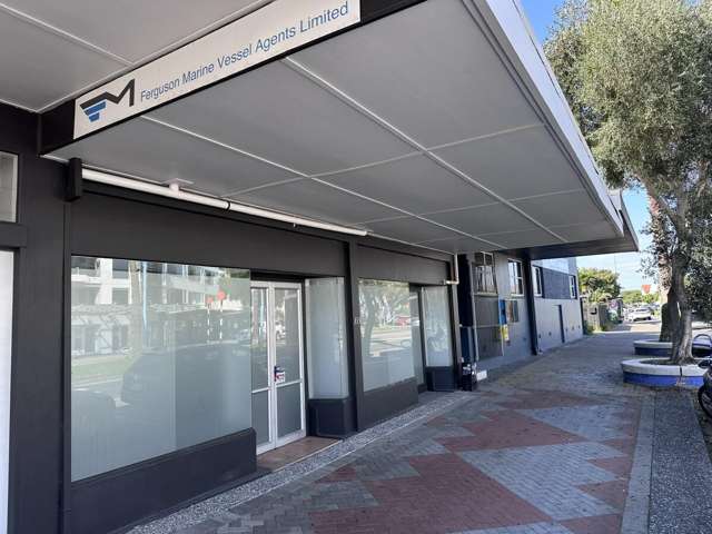 333 Maunganui Road Mount Maunganui_1