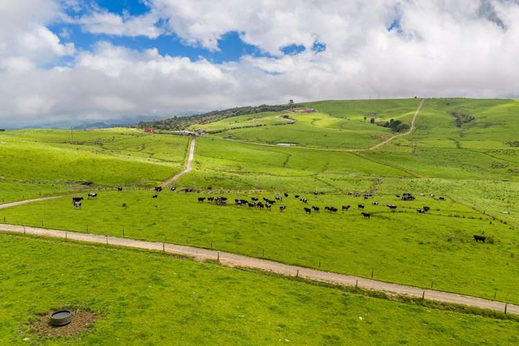 89 Jones Road Donnellys Crossing_6