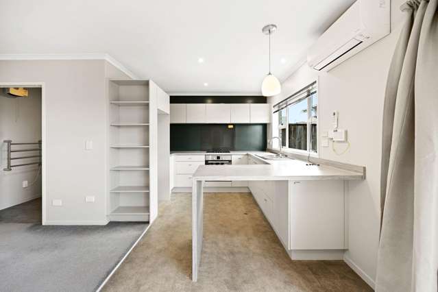 17A Maitland Street 1067_2