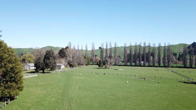 1499 Moawhango Valley Road Rangitikei Surrounds_3