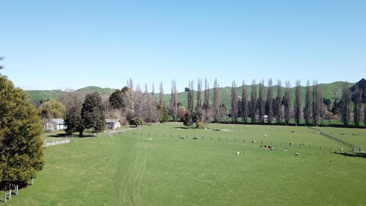 1499 Moawhango Valley Road Rangitikei Surrounds_3