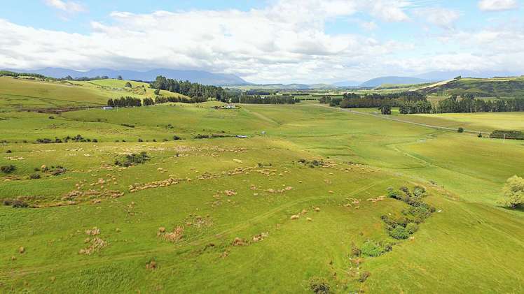 105 Lynwood Road Hillside_13