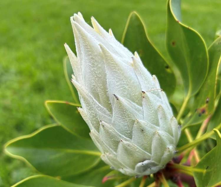 410 Mahuta Road Mahuta_22