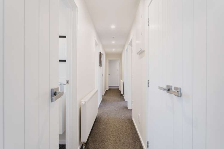 7 Vampire Road Waldronville_7