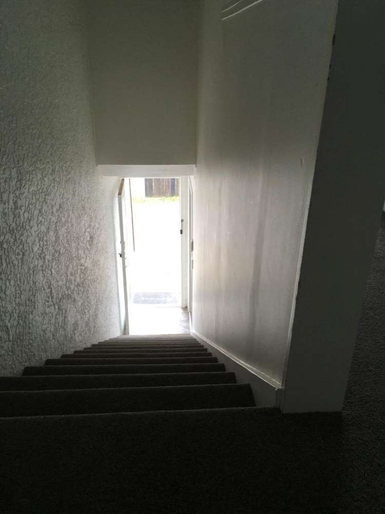 16B Ruihi Street 11068_5