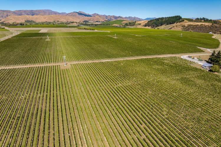 1 Wairau Plains Renwick_2