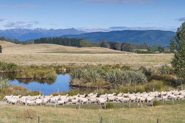 13 Kakapo Road Te Anau_16