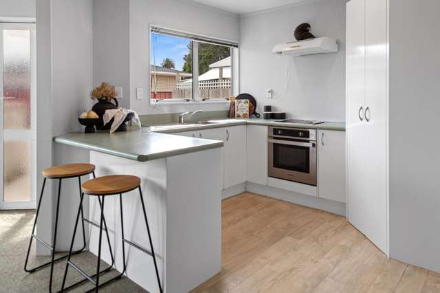 17a Mains Avenue Kensington_2