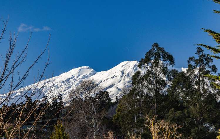 22a Park Avenue Ohakune_33