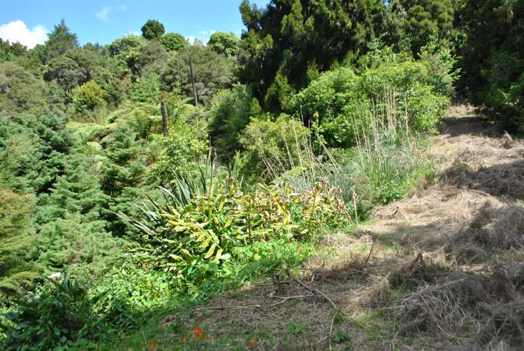 27 Ranfurly Place Kamo_5