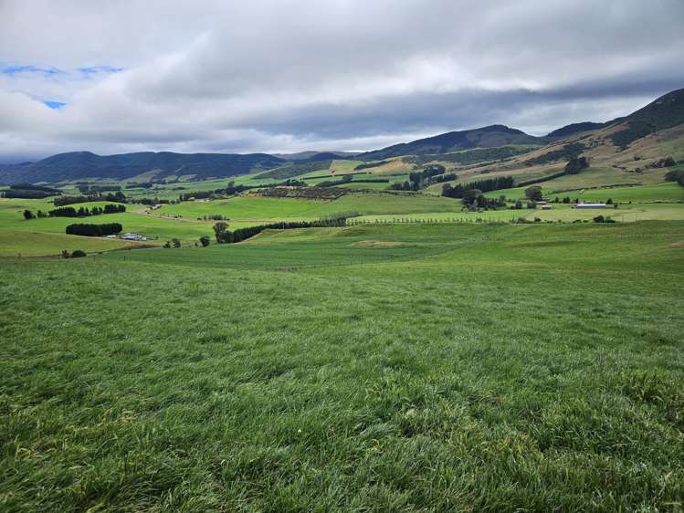 1551 Owaka Valley Road Owaka Valley_30