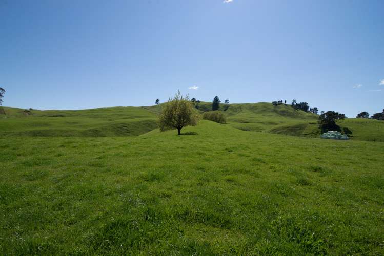 44 Coates Road Waikite Valley_8