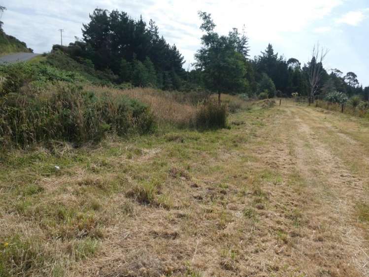 Keogans Road Hokitika_15