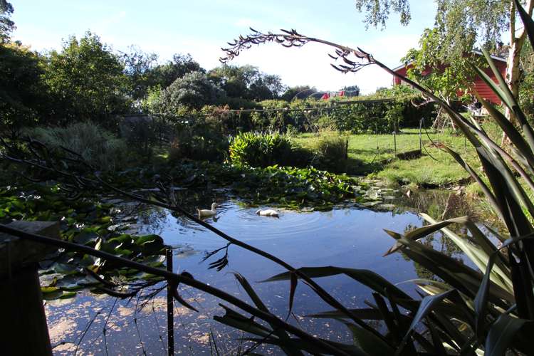 82 James Road Rangitumau_18